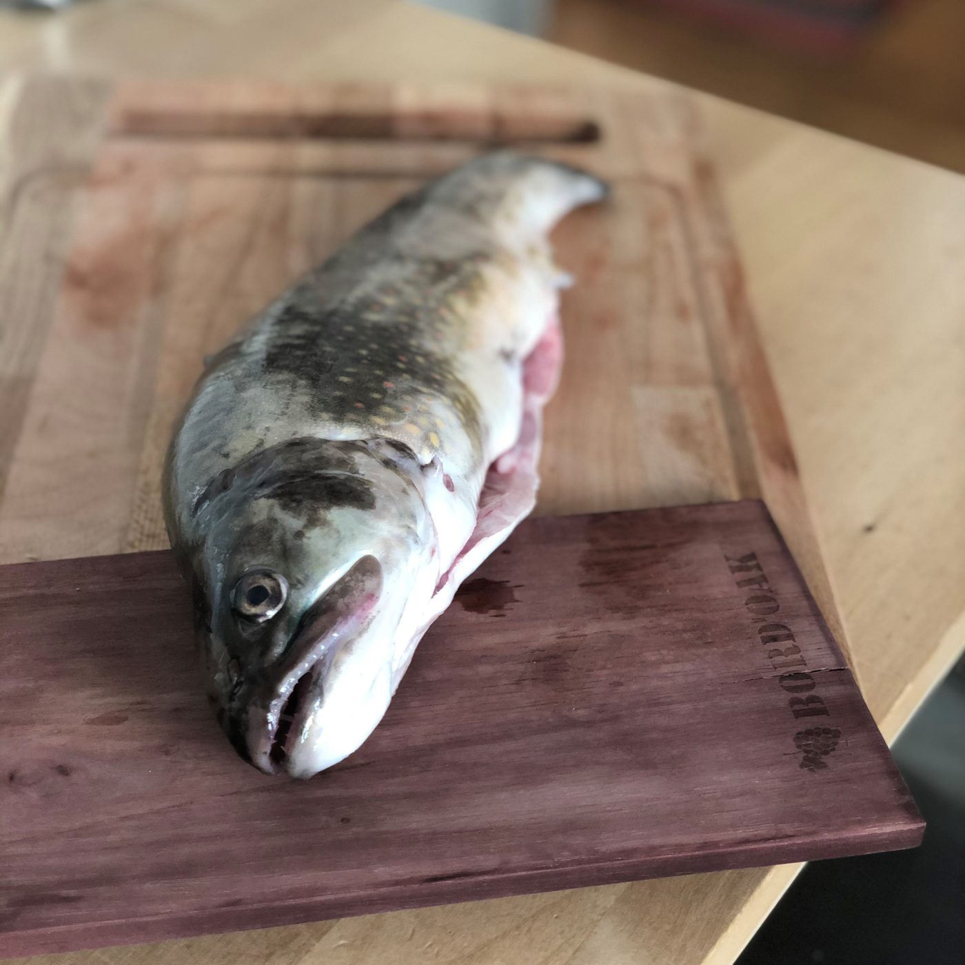 Omble chevalier sur planche de chêne Bord'oak